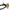 Dark Wood Outline Adult Bow Tie in Check